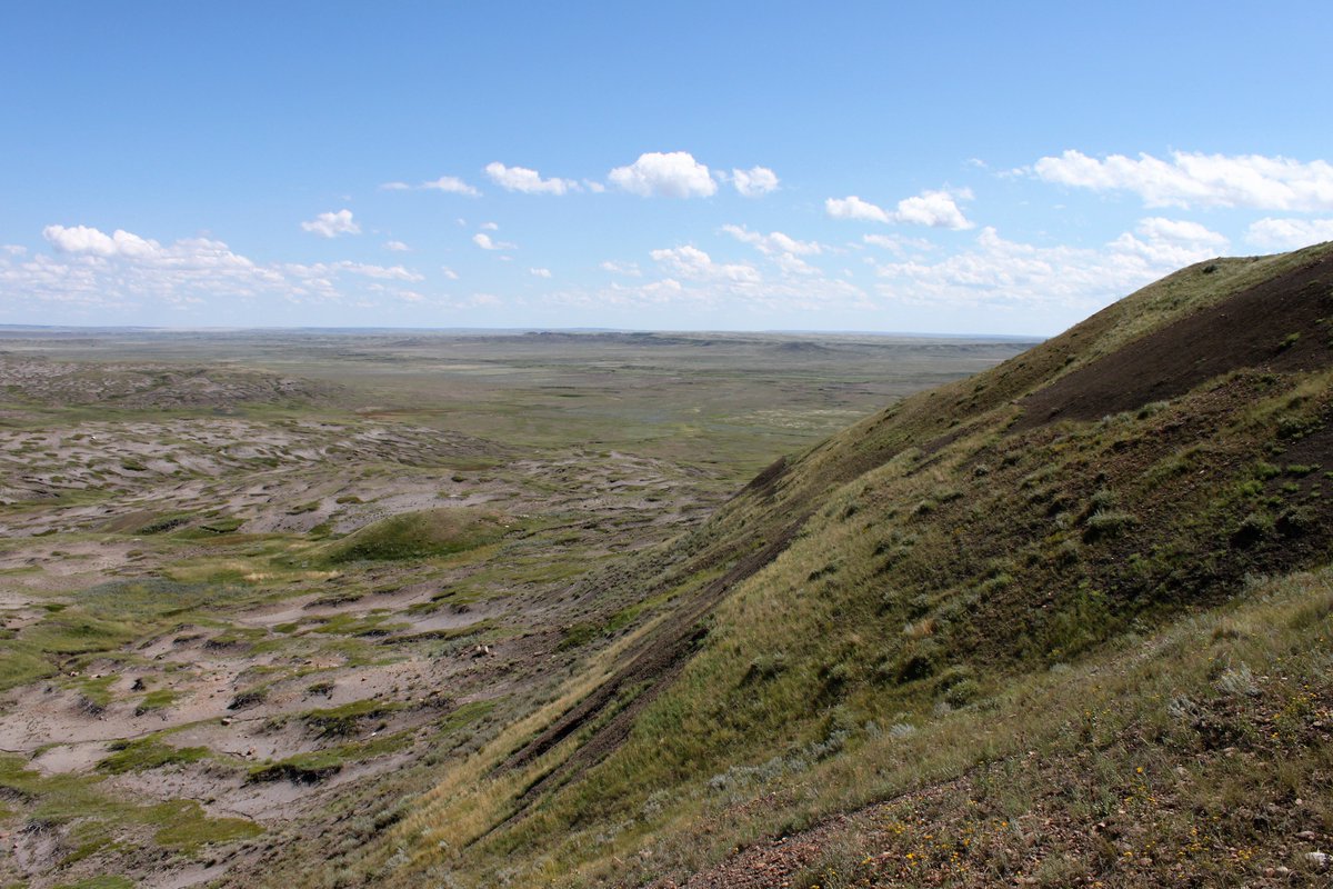 npss_sk's tweet photo. Want to get out and explore Saskatchewan this summer?  Check out our free summer field tours here: https://t.co/sNZ6DEjnYx https://t.co/lcStTuOgfK