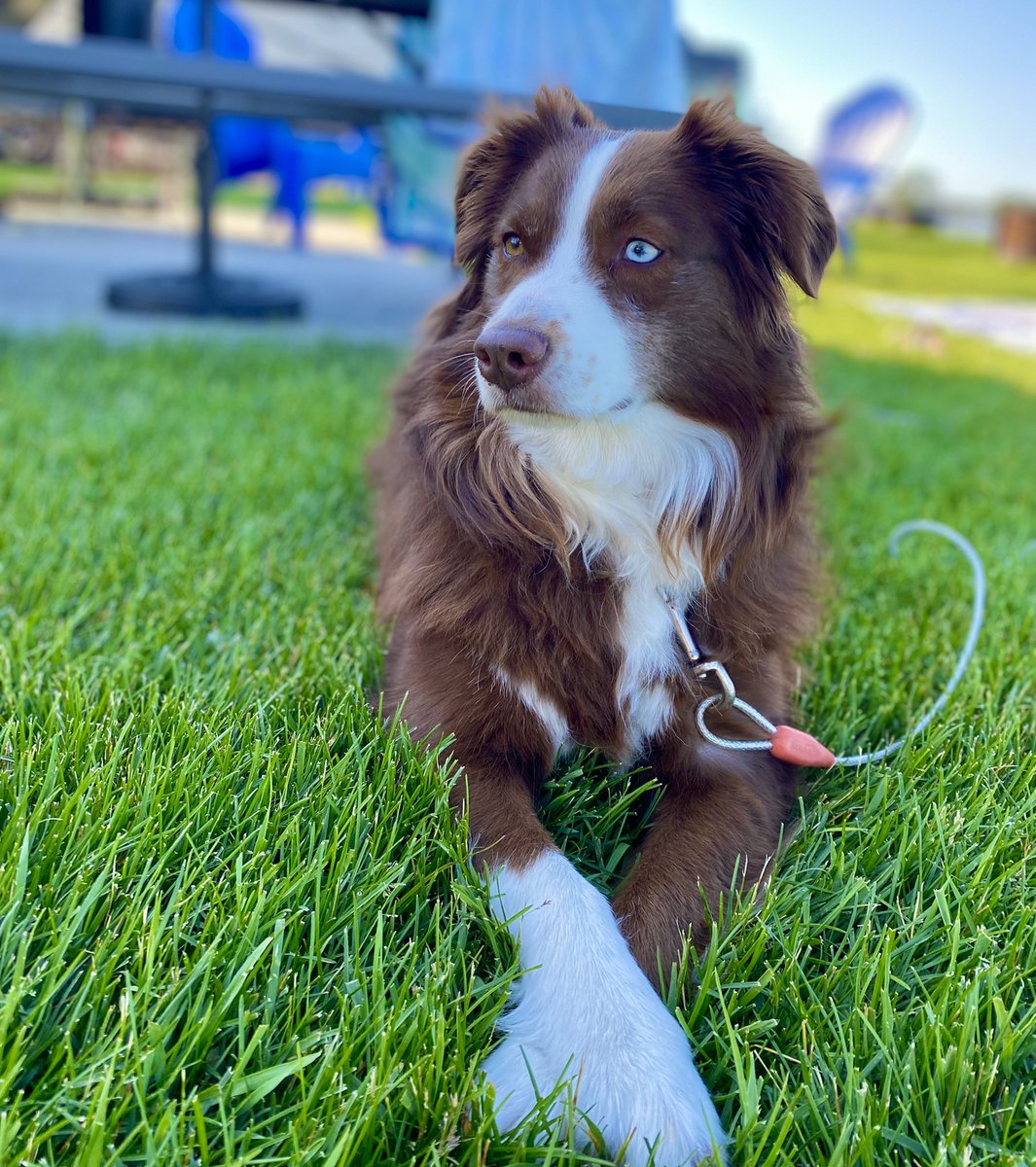 Tobi Tungl tweet media