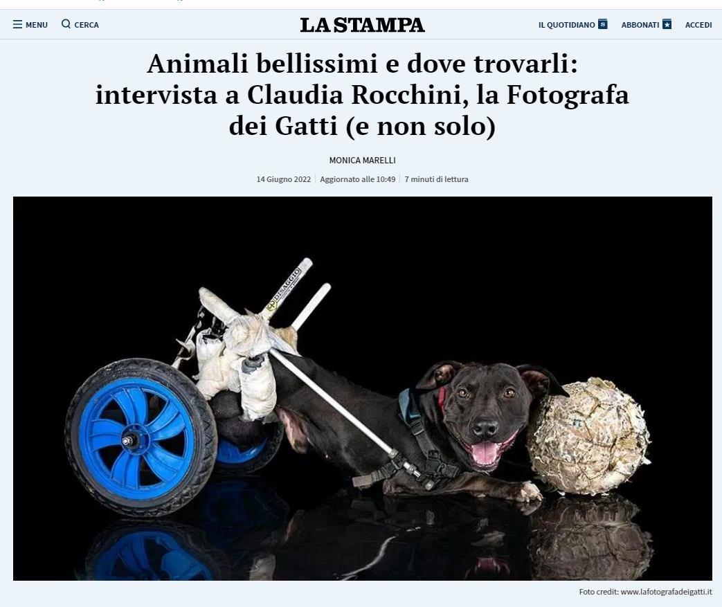 claudiarocchini's tweet photo. @fulviocerutti grazie 
https://t.co/o0uuhmS4i9 https://t.co/Pm7cvuFg36