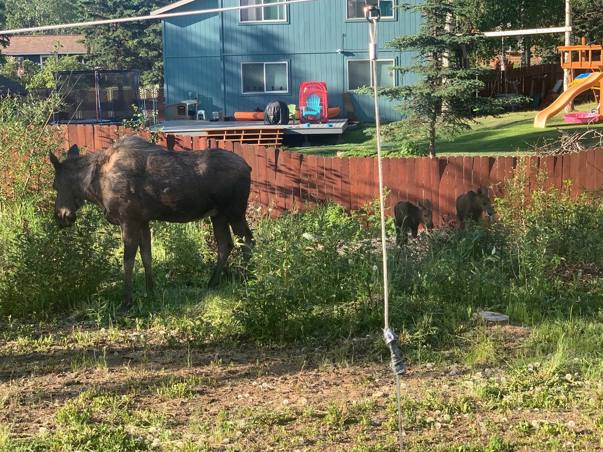 More visitors this morning.