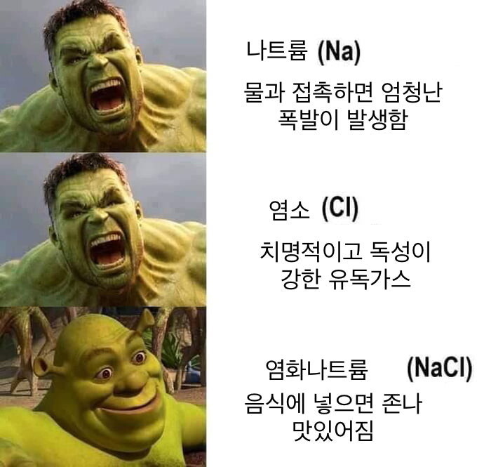 갑자기 개터지네 이거 🤣🤣🤣