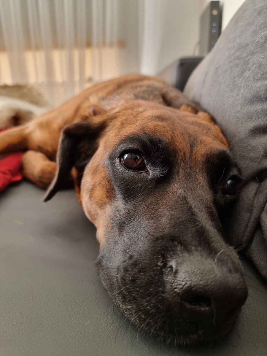 FlonjaVide's tweet photo. Are you done?? I want to cuddle 🥰 https://t.co/tDW6DNNsSM