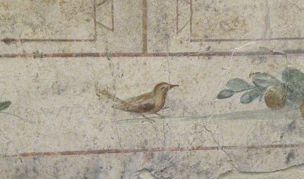 thtrainwreck's tweet photo. birds on the walls https://t.co/mZCVfADtwY