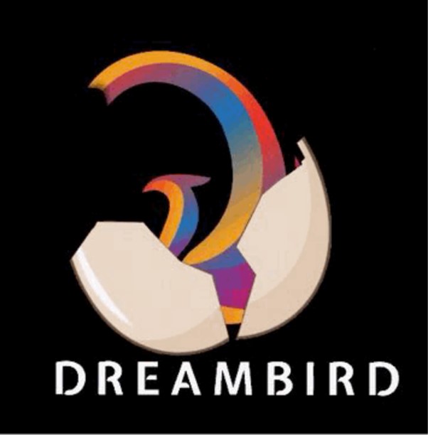 Imagine a platform where you can connect with other creative minds and talents, share ideas and build a team to create &amp; fund your next film.  

Let us know what you need on our Discord discord.gg/XrmzByVZ

#DreambirdFilm