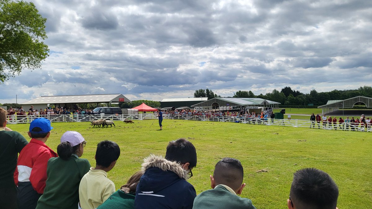 FieldheadCarrPS tweet media