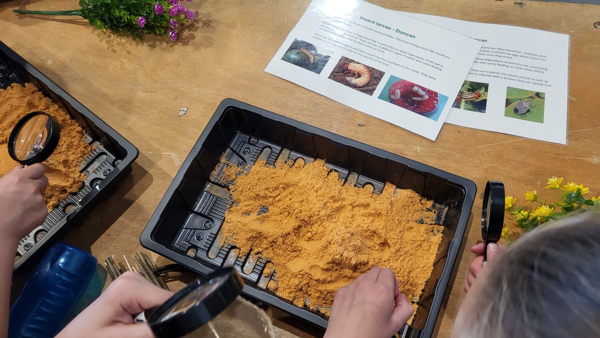 We had a fabulous time at the #countrysideday today with the @YAScountryside #lovetolearn