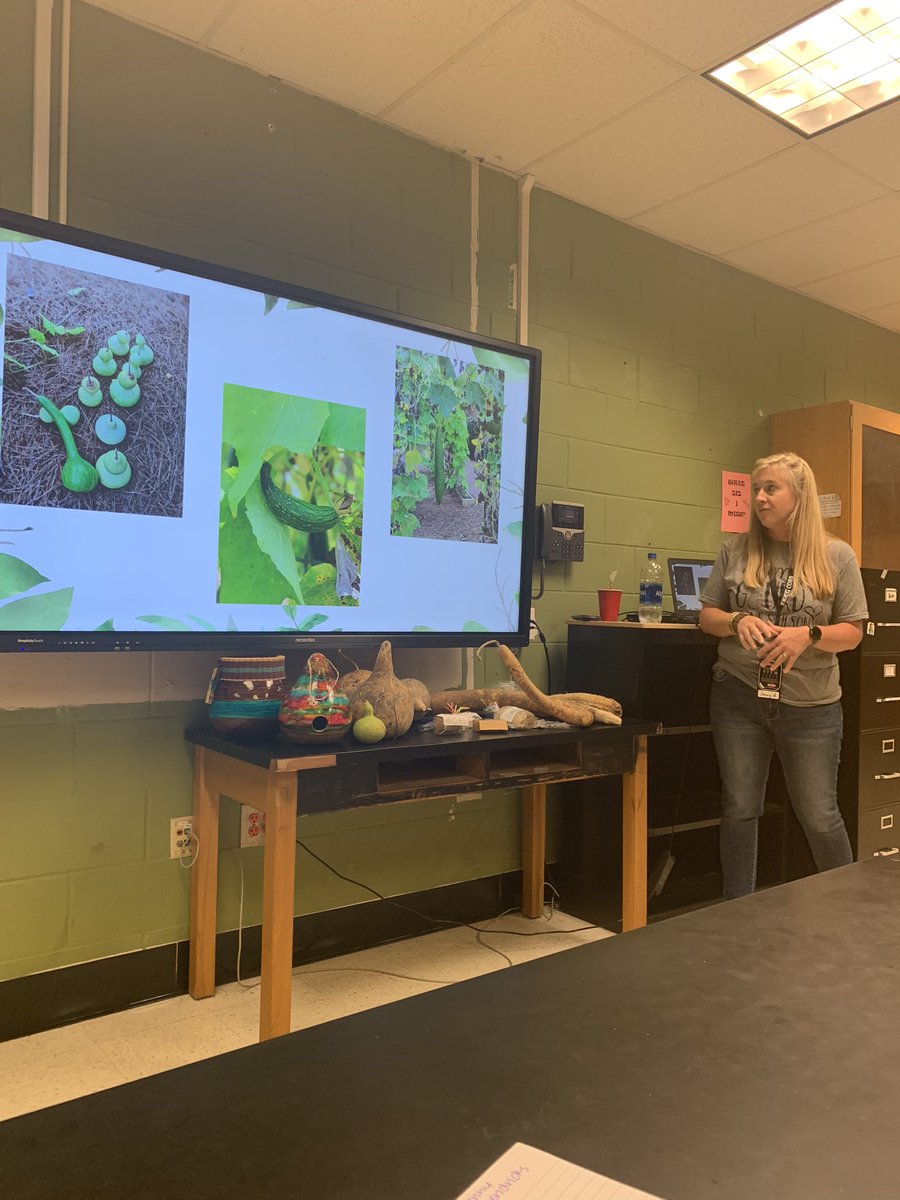 Oh my, gourd!!! Time to learn about STEAM activities for our outdoor learning garden. #STEMCobb