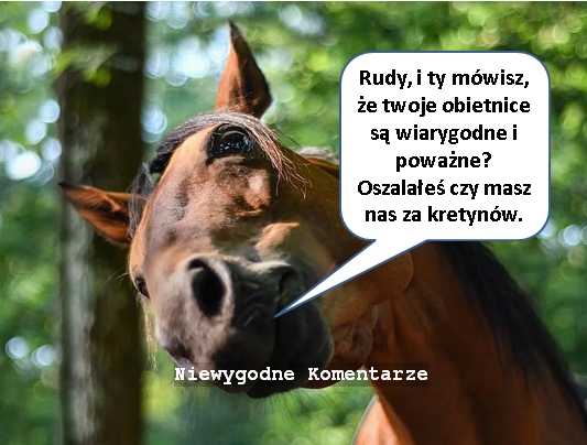 #Tusk #wtylewizji #Minela20 #Jedziemy <a href="/donaldtusk/">Donald Tusk</a> <a href="/AgaSiewiereniuk/">@AgaSiewiereniuk (Krusyna)</a> <a href="/WolnaRadio/">Olga Srokarczuk</a> <a href="/FeusetteK/">Krzysztof Feusette</a> <a href="/jacekleski/">Jacek Łęski</a> <a href="/wina_Mazurka/">Robert Mazurek</a> <a href="/Tygodnik_Sieci/">Tygodnik Sieci</a> 
No i koń się uśmiał.