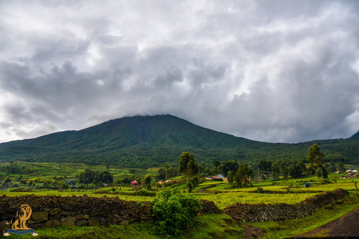 lions_platform's tweet photo. The #green #Scenery and Mountainous #landscape in kisoro district Uganda is a sight to behold
Subscribe via https://t.co/hVKsjFgXTy and enjoy various #touristattractions that we bring to you wherever you are. https://t.co/2anxZlKYrd