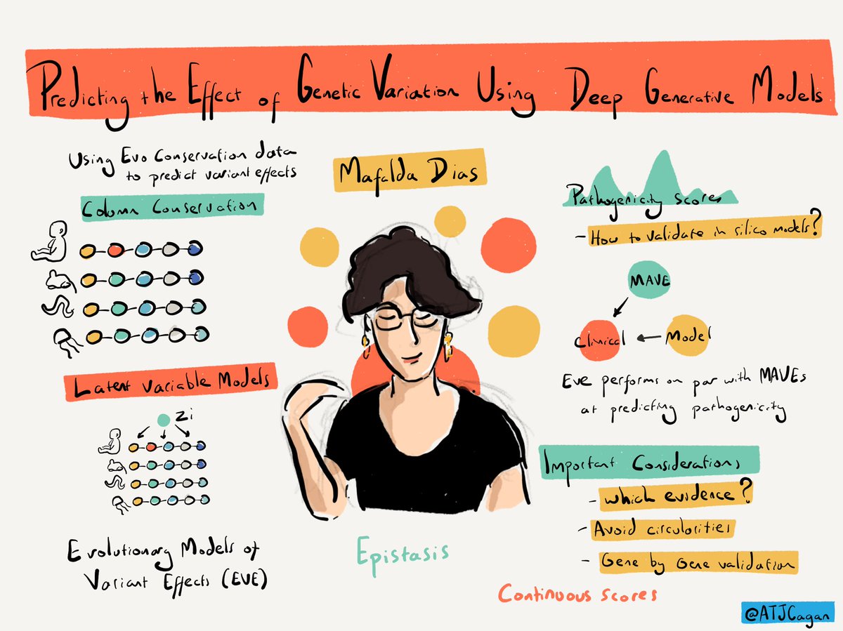 ATJCagan's tweet photo. Mafalda Dias on predicting the effect of genetic variation using deep generative models #VariantEffect22 https://t.co/WA2oTLgqDJ