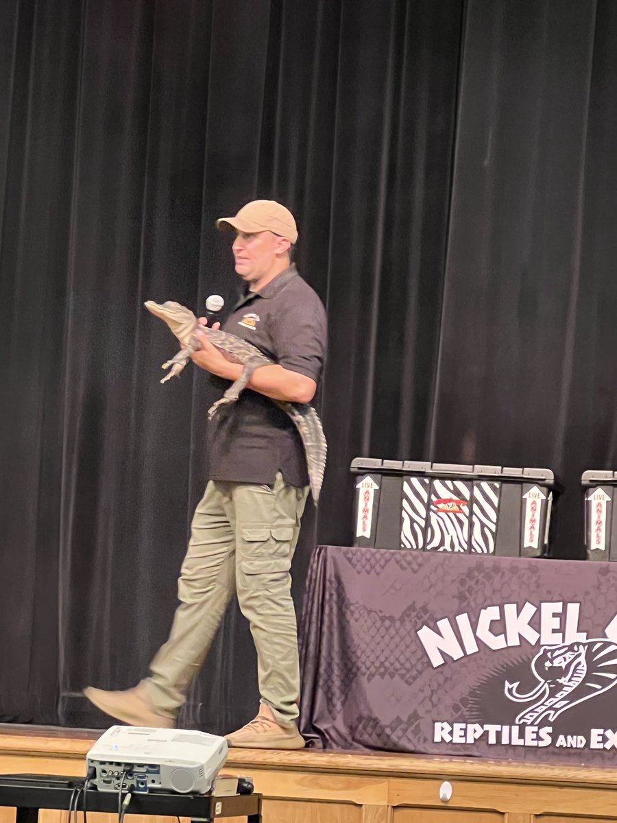 Newfane Middle School tweet media