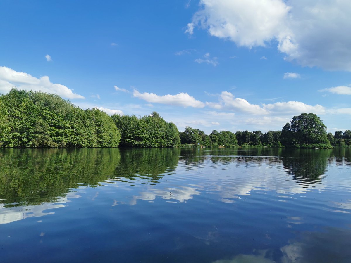 Jake Evans Storyteller tweet media