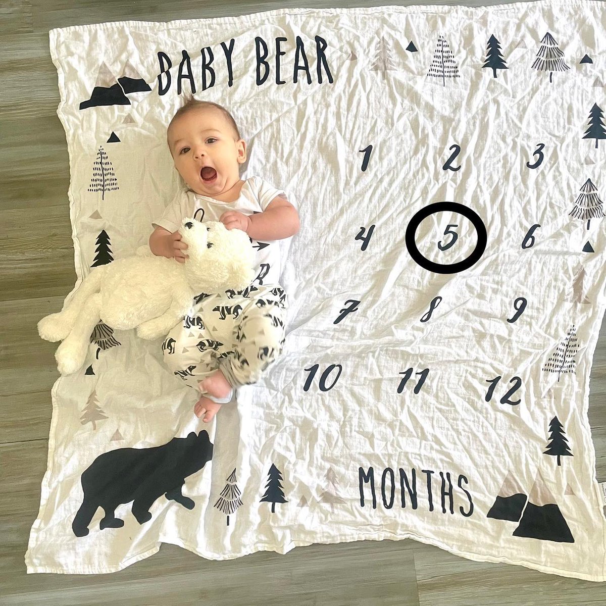 LizzyPalmatier's tweet photo. How is my baby bear already 5 months old?! https://t.co/5ZzjmY4kI9