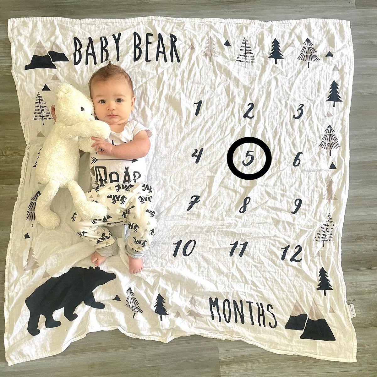 LizzyPalmatier's tweet photo. How is my baby bear already 5 months old?! https://t.co/5ZzjmY4kI9