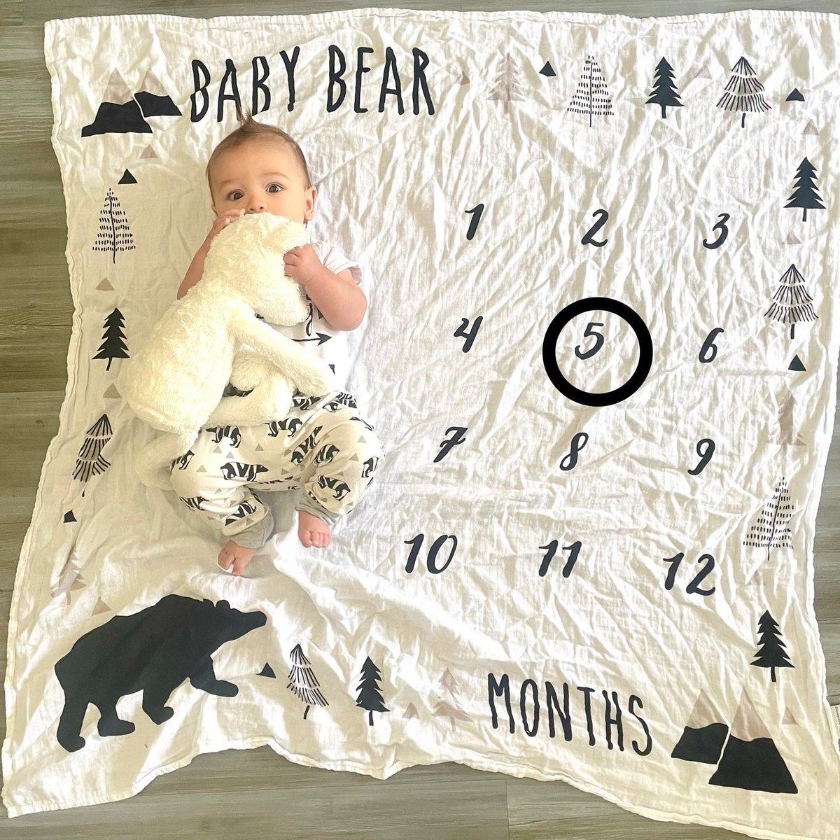 LizzyPalmatier's tweet photo. How is my baby bear already 5 months old?! https://t.co/5ZzjmY4kI9