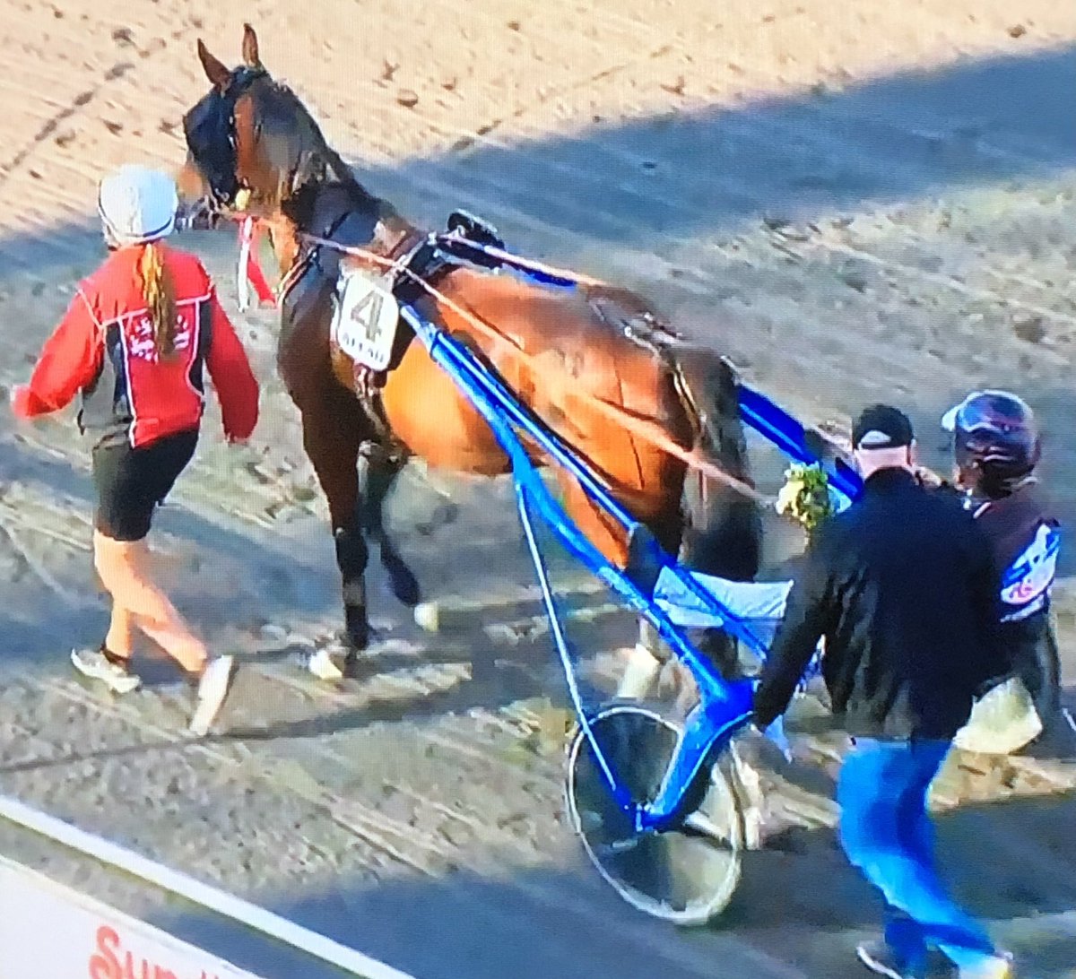 UllaMerilainen's tweet photo. Minttu sai tänään Eskilstunassa keulajuoksun ja voitto kotiin! 👍🐎 Kuskina @TaneliSade Hyvä Minttu❣️🐴 Kesällä tavoite Suomessa tammojen ikäluokkalähdöissä. #mamichulo #ravit Kuva Toto-TV:stä. https://t.co/6MqZAdzJo7