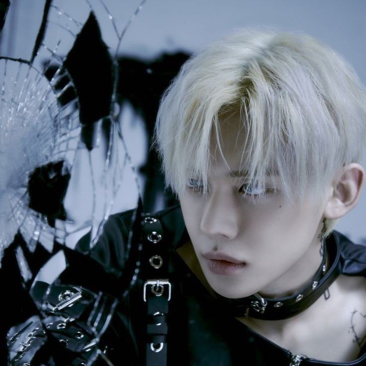 taejun cats (@nyangtaejun) on Twitter photo 