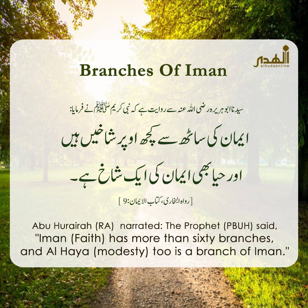 alhudaonline's tweet photo. Branches Of Iman https://t.co/OMODyQFEED