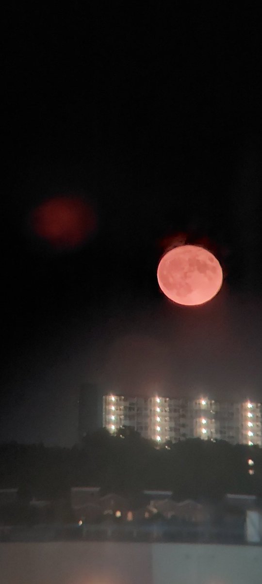 stephan musters tweet media