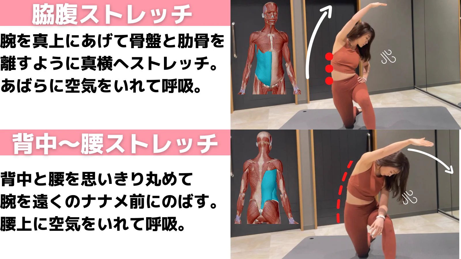 ストレートネック民はこれやって！「首のつけ根」をほぐして「背中」を丸めるべし！