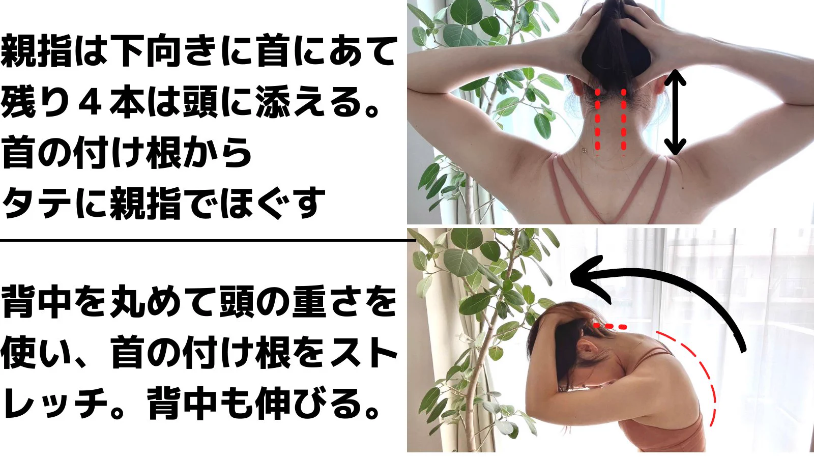 ストレートネック民はこれやって！「首のつけ根」をほぐして「背中」を丸めるべし！