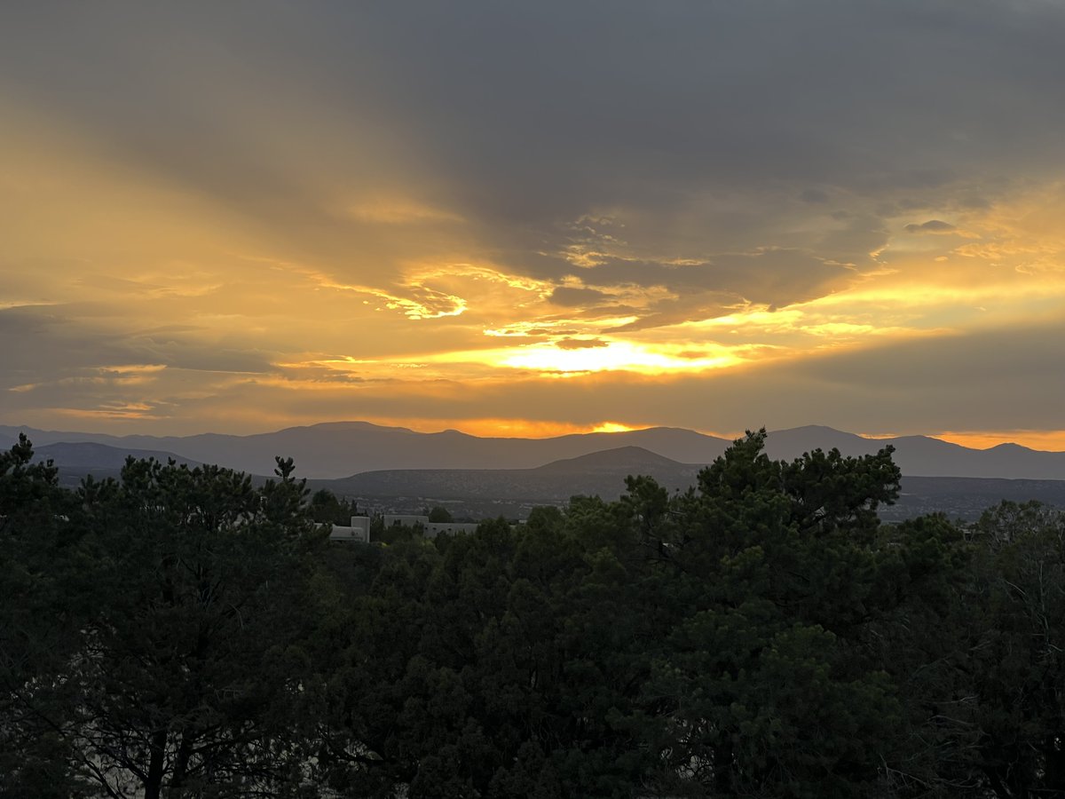 Aman Gebru tweet media