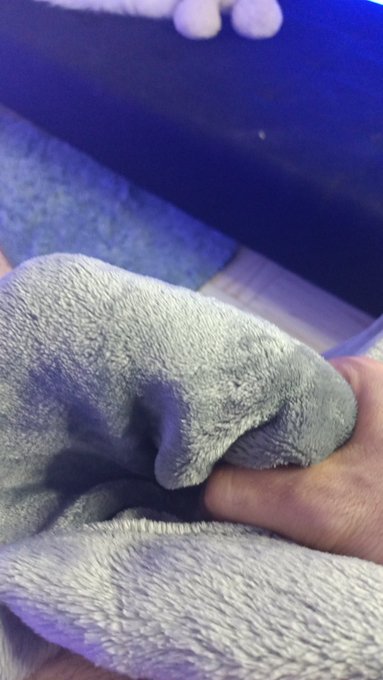 Do you want. 😈#dick #amateur #porn #bigdick https://t.co/yRQgimjI7M<a href="/tag/dick"class="tags">#dick</a><a href="/tag/amateur"class="tags">#amateur</a><a href="/tag/porn"class="tags">#porn</a><a href="/tag/bigdick"class="tags">#bigdick</a>