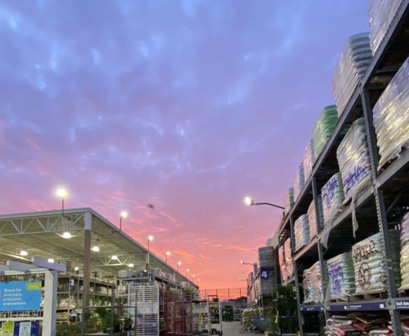 Chelsea Gray tweet media