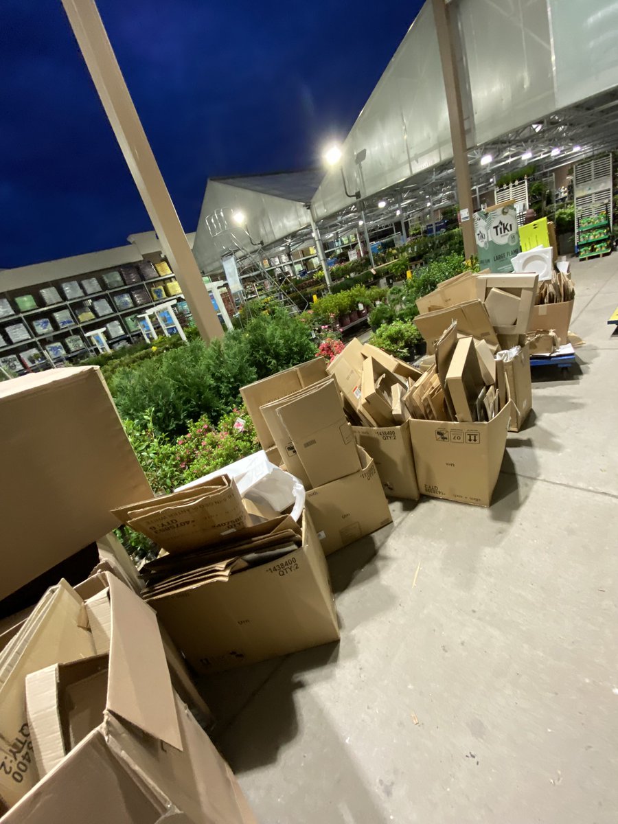 Chelsea Gray tweet media