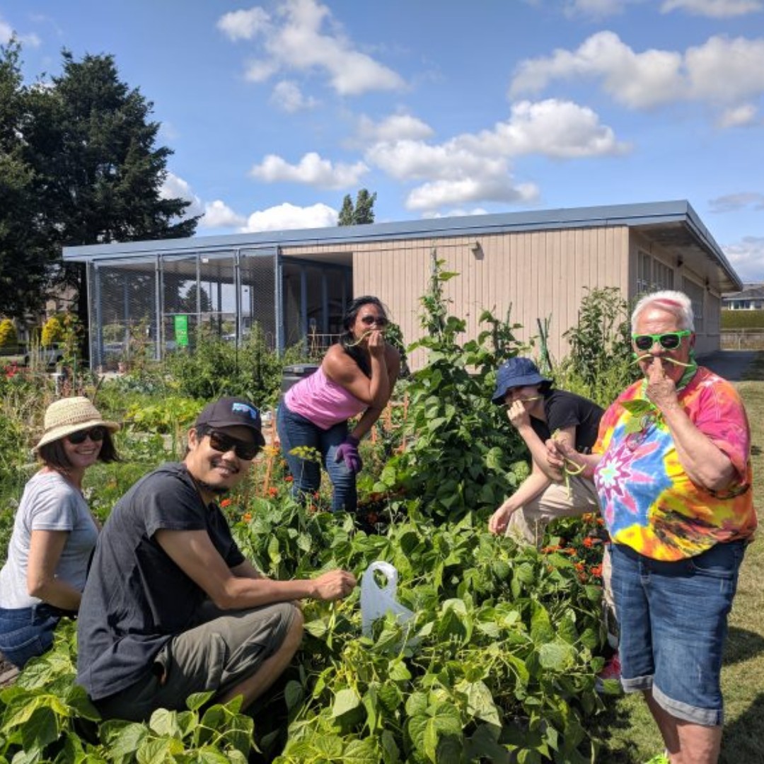 RFBSociety's tweet photo. Offering clients fresh produce is a priority at the Richmond Food Bank. Our garden program is made possible by Urban Bounty, West Coast Seeds, and our dedicated garden volunteers. Contact programs@richmondfoodbank.org to volunteer! #summer #volunteerappreciation #bcfoodbanks https://t.co/NUTymwLX3Y