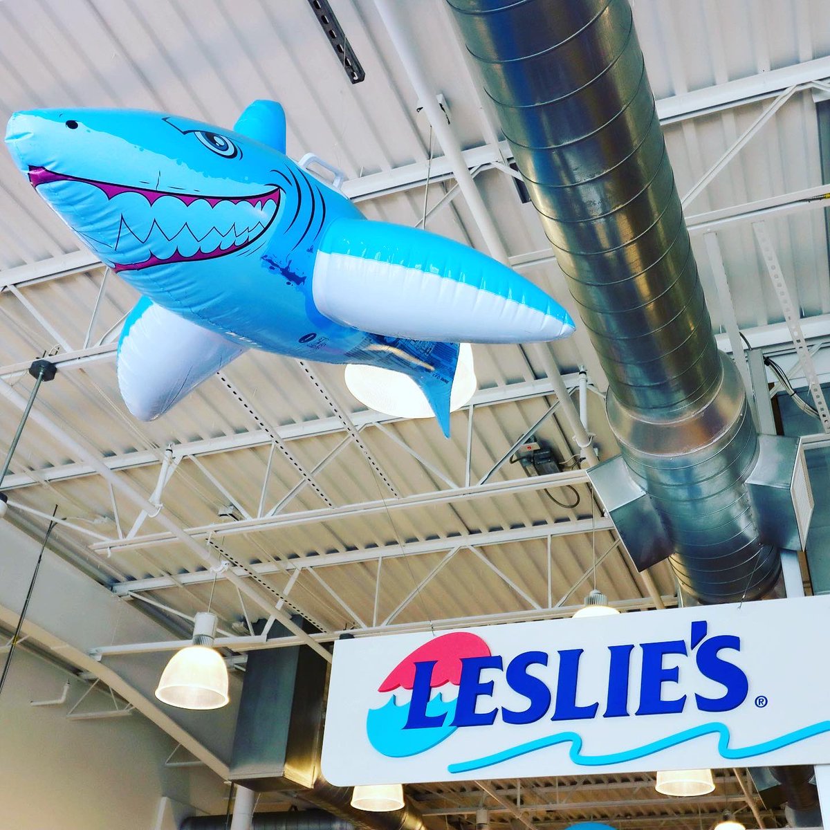 jmips's tweet photo. Today’s tenant highlight: Leslie’s Pool Supplies, where water testing is free! Their fun selection is a hot commodity now that school is out & summer has officially started ☀️🥵 #sunsetcorner
#jmipropertyservices #leslies
#tenanthighlighttuesday #summer2022☀️🏖🏝😎 https://t.co/DoyqyN2bE9