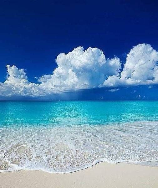 Azυℓ (@turquesa_711) on Twitter photo 