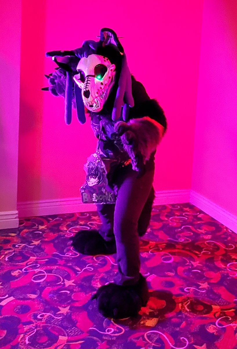 ChevronTheWolf's tweet photo. @TheFurstState #furbowl #furbowl76 #furststate
I had an awesome time down in Delaware for Furbowl 76!
Let's do it again!
Fursuit by @SarahcatFursuit
@Tuskynwolf @VillagerHusky https://t.co/unCTjZxaHT