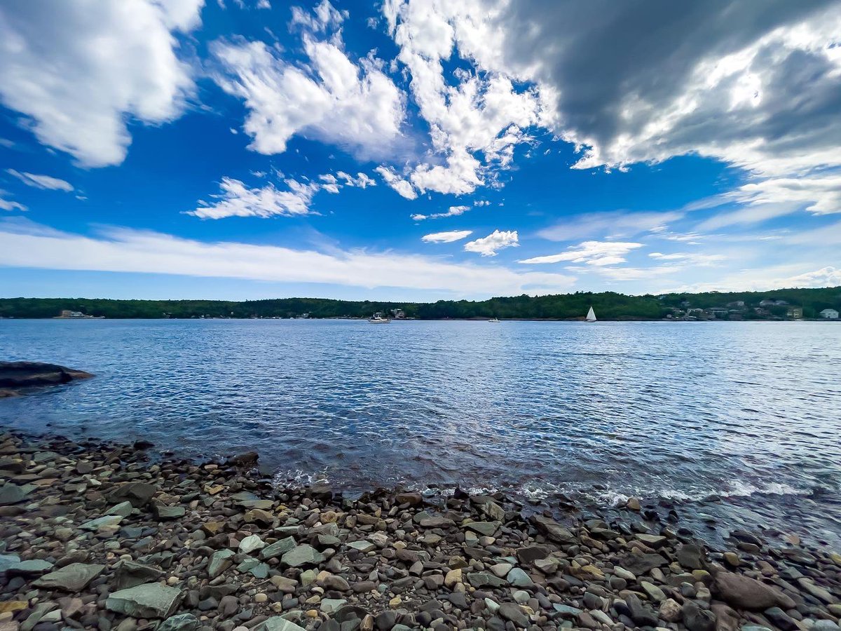 Suzy The Explorer tweet media