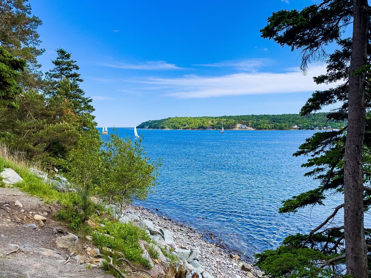 Suzy The Explorer tweet media