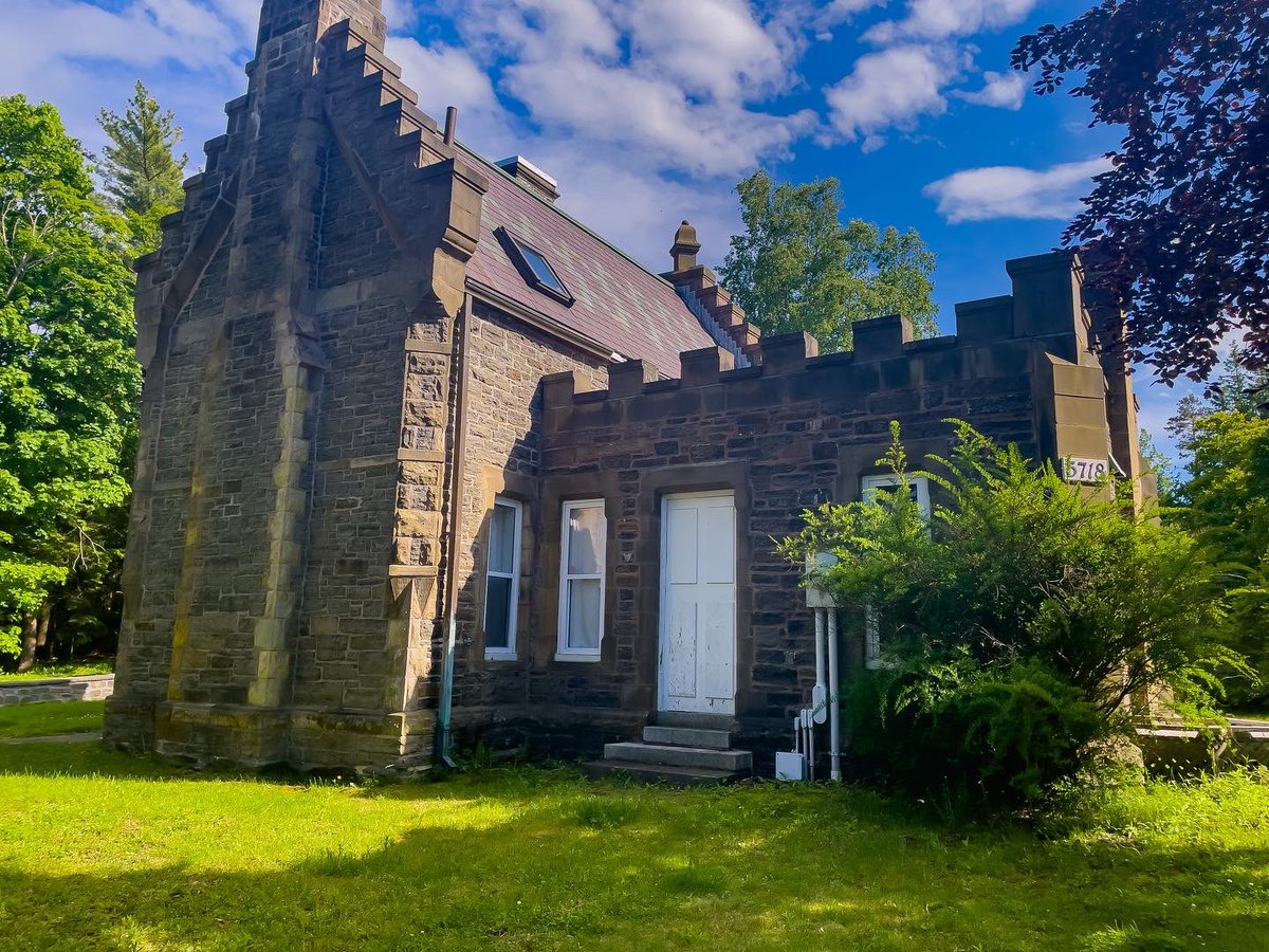 Suzy The Explorer tweet media