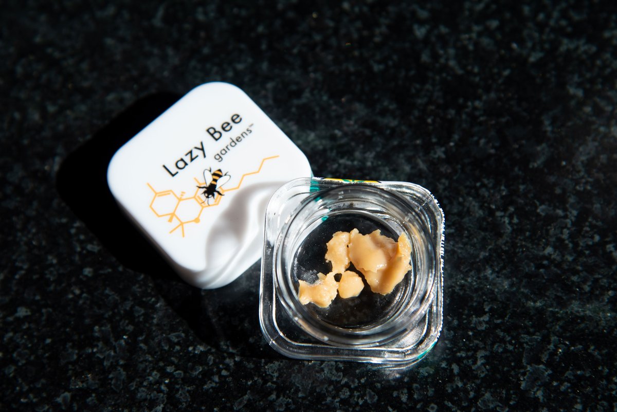 Celebrate #TerpTuesday? We love to, especially when it Involves our #solventless #hashrosin. If you're a concentrate connoisseur, let us know what you think of our new Locktite rosin. 🍯🐝 #LazyBeeGardens