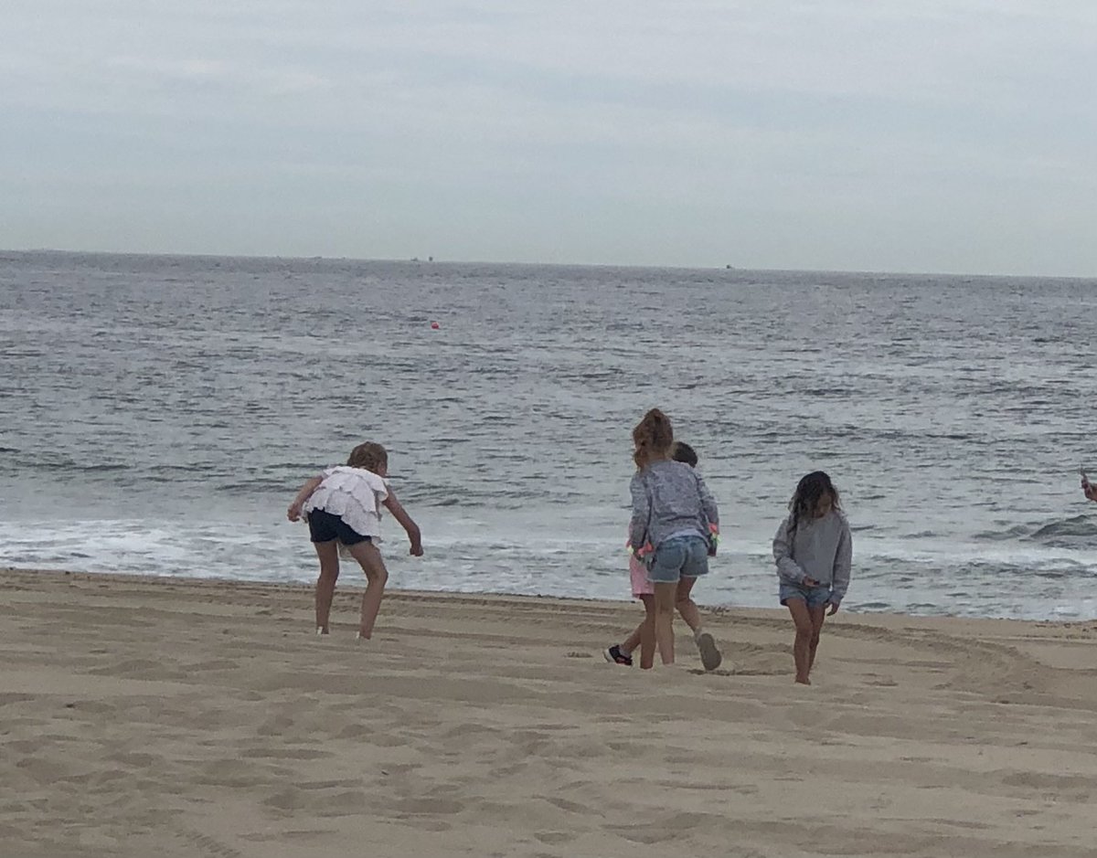 Callas1stGrade's tweet photo. What a fantastic day at Seven Presidents with these Firsties!  We learned about sea stars and shells 🐚 on the shore. Fun, fun, fun!
@NewMonmouthElem @TaraGarzone @MTPSpride https://t.co/GaE6Pyd0m9