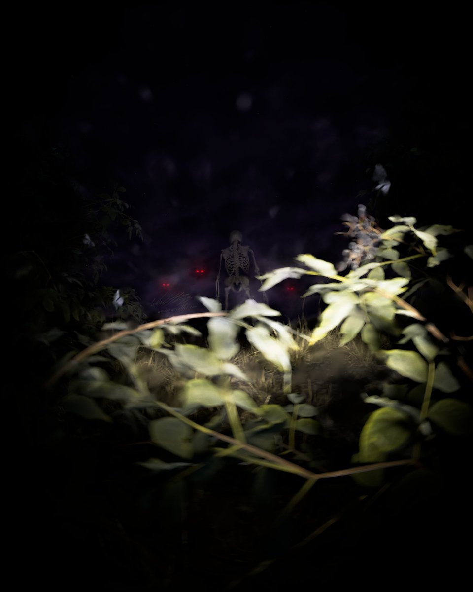 "Elderberry Trail"
3D render &amp; illustration