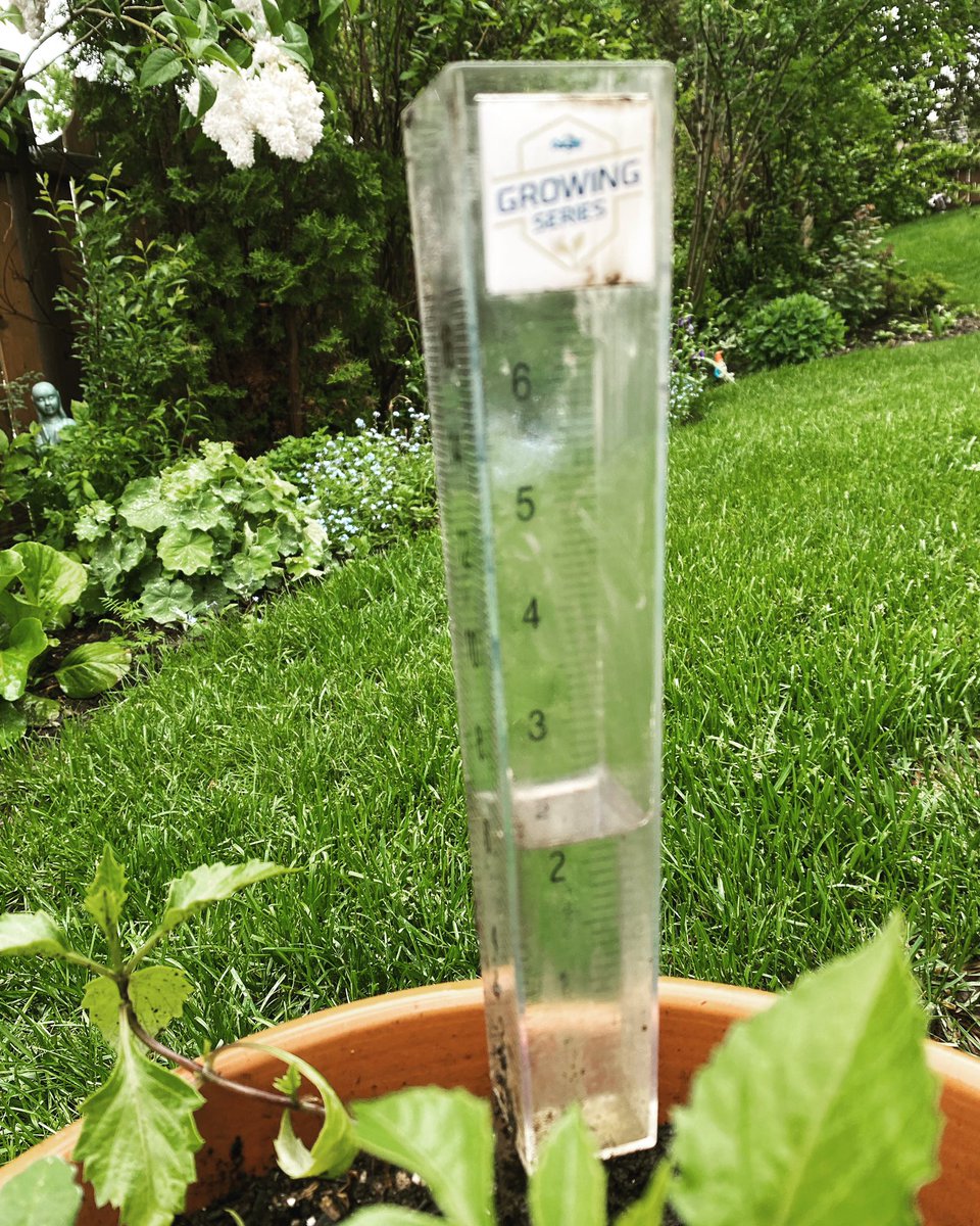 More rain in last 24hrs than all last summer. And it’s still coming down…#abstorm