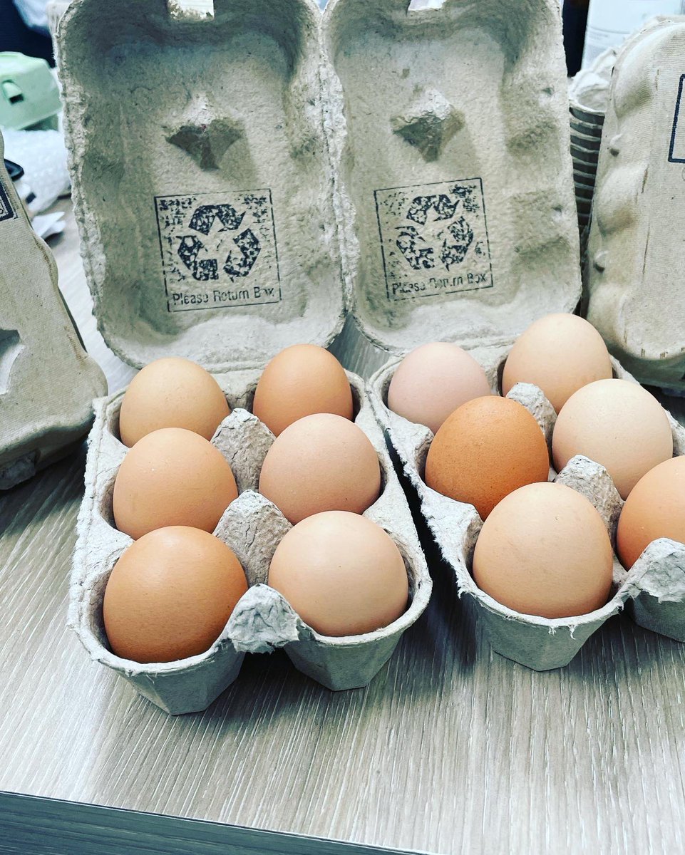 Dunnesfarmeggs's tweet photo. Good evening๐Some of you may have noticed today that we had a new stamp on our boxes. It doesnt quite look as nice as the sticker.But in the interest of the environment and plastic waste we choose the stamp๐
#eggboxstamp #caringforourenvironment #reduceplastic #pastureeggs https://t.co/oGP1mUK7Qz