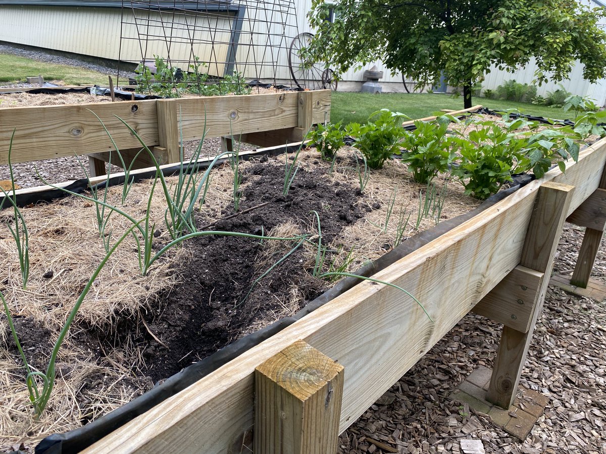 Jodi DeJong-Hughes tweet media