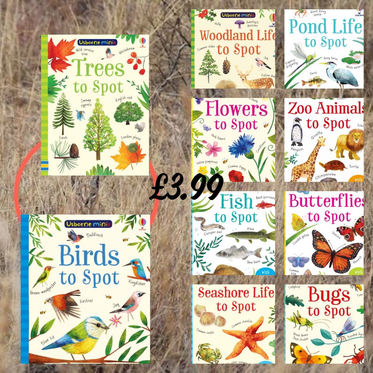 emmalouises94's tweet photo. Summer holidays are not far away what do u have planned ? Whilst your out and about take these mini books with you they fit in bag u are taking. You don't even need a pen when u want to mark off what u have found there are stickers at the back. 
£3.99 each 
Message to order https://t.co/FB02pljTm9