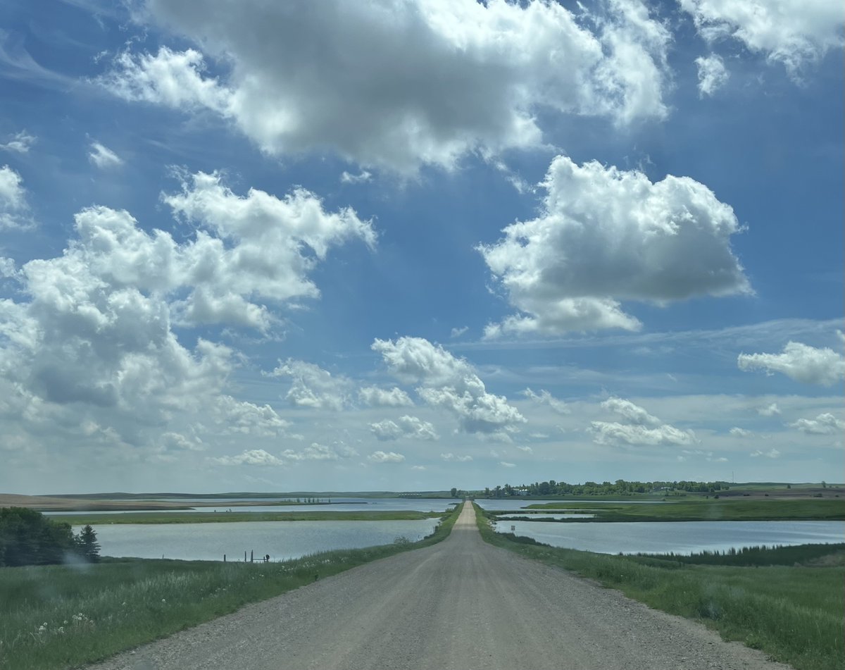 NearAndFarAZ's tweet photo. Just back from a family trip to North Dakota. A few scenes from small-town ND. #NorthDakotaRoadTrip #GackleND #AlfredND https://t.co/KBlBh78P3Q