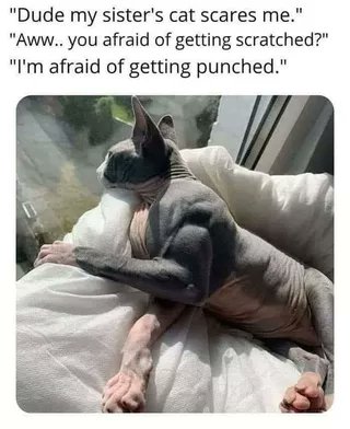 WholesomeMeme's tweet photo. https://t.co/kaNNaZ5nTS