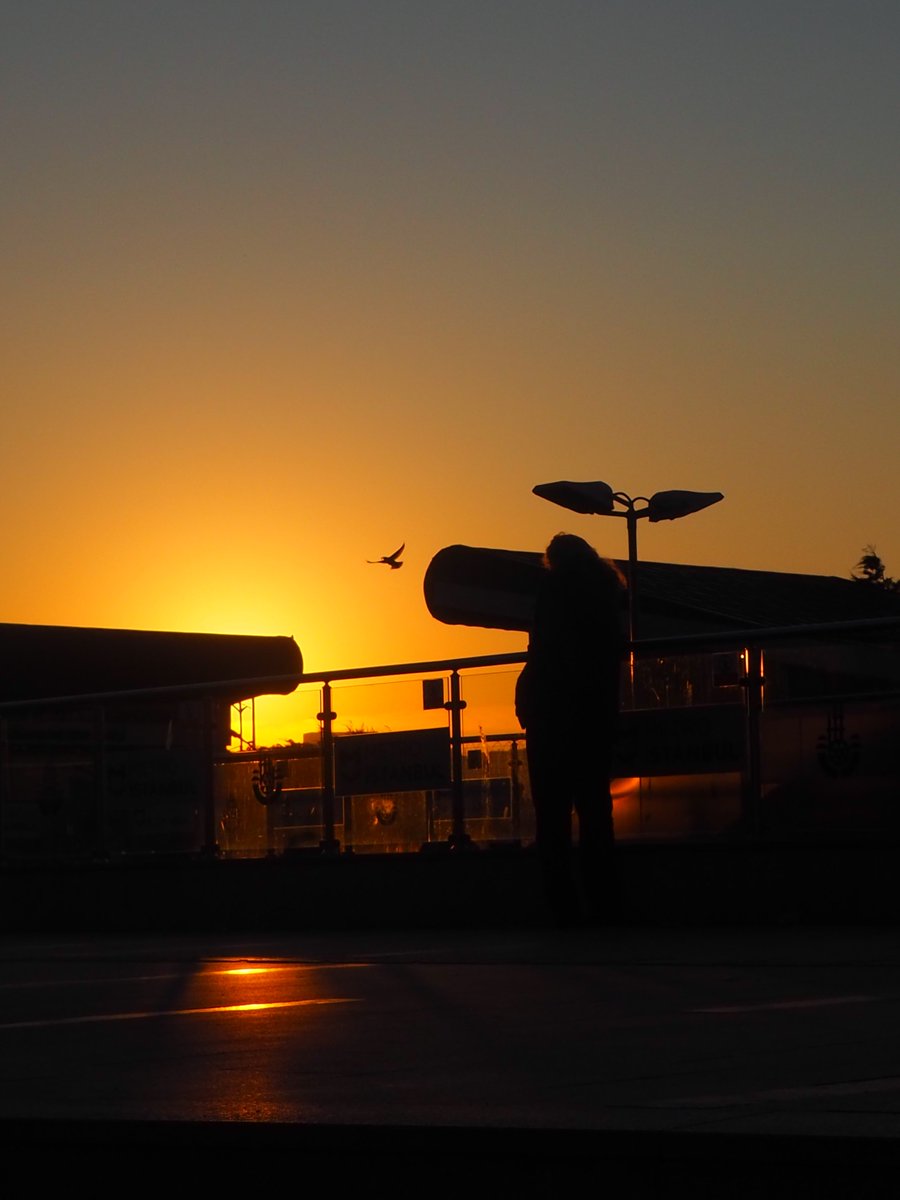 Eve dönmek istedim bütün yorgunlukların sonunda