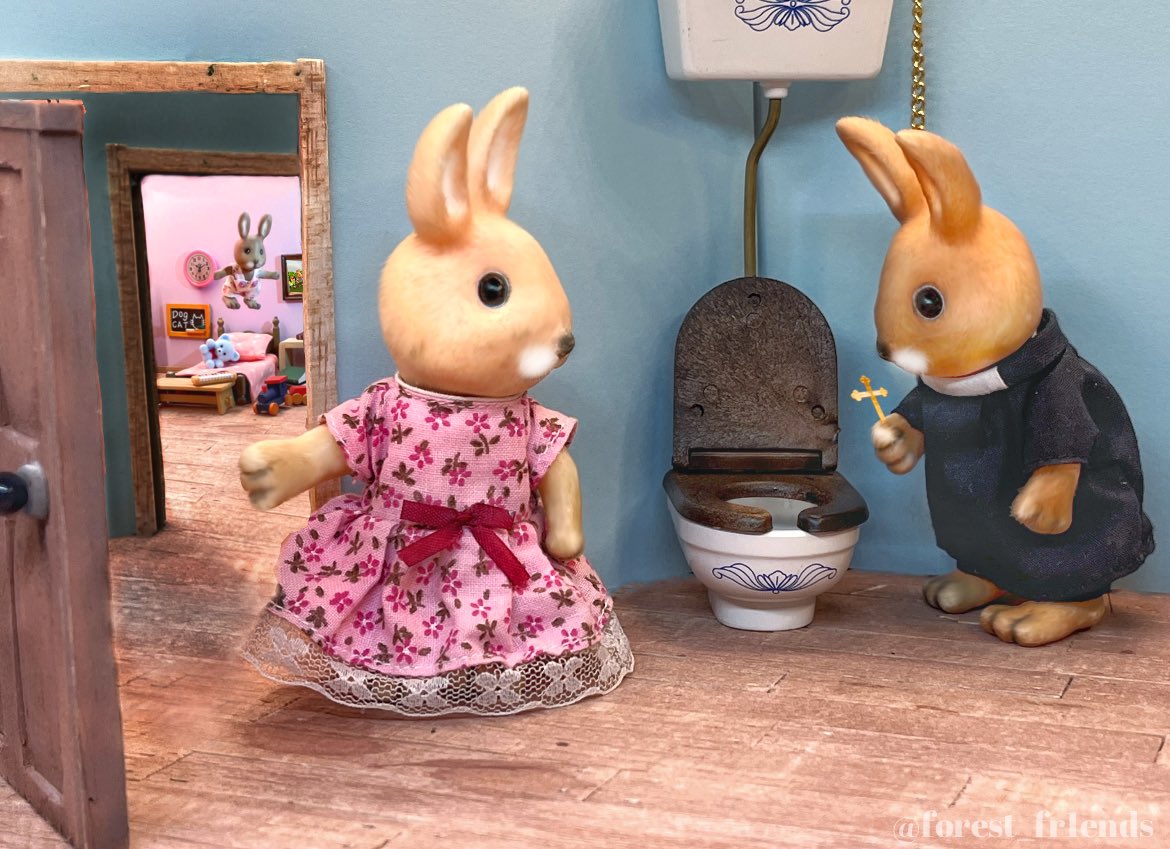 forest fr1ends tweet media