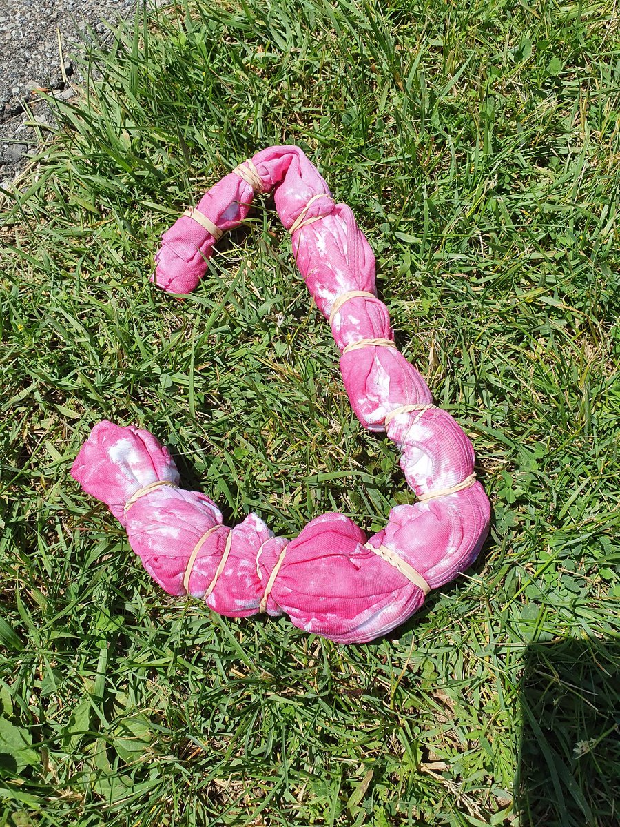 Tracy Terry tweet media