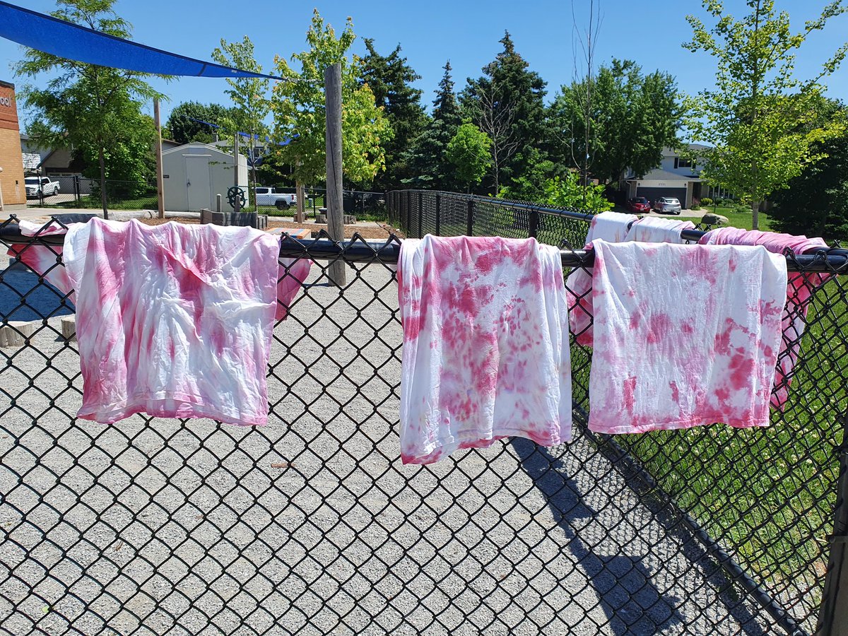 The next phase of our T-Shirt Design project is complete! Dyeing using coffee, beets and cabbage! Final results coming up in the next few days! <a href="/BrantHillsPS/">Brant Hills P.S.</a>