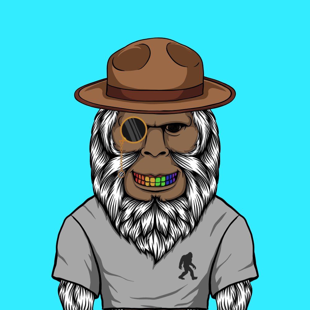MrSilly_eth's tweet photo. @edumendonssa @SquatchLegends #GoneSquatchin https://t.co/40ElmybjZa